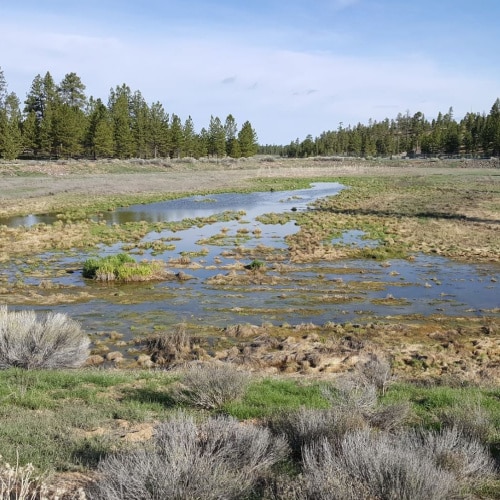 Bryce Canyon Lagoon Rehab