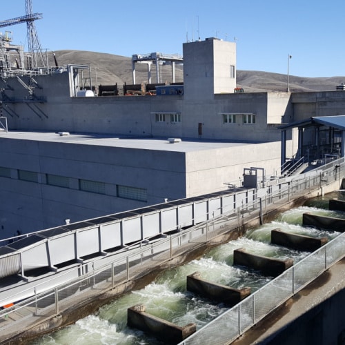 Little Goose Dam Fish Ladder